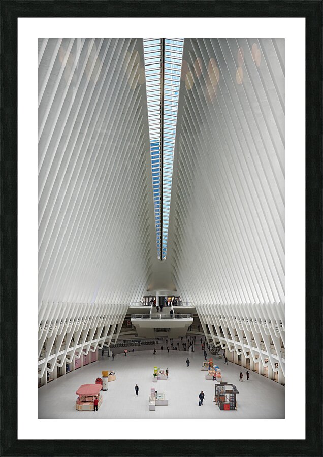 Oculus Picture Frame print
