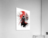 assassin ninja warrior Acrylic Print