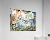 COLOR GENESIS Acrylic Print