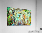 RAINFOREST  2 Acrylic Print