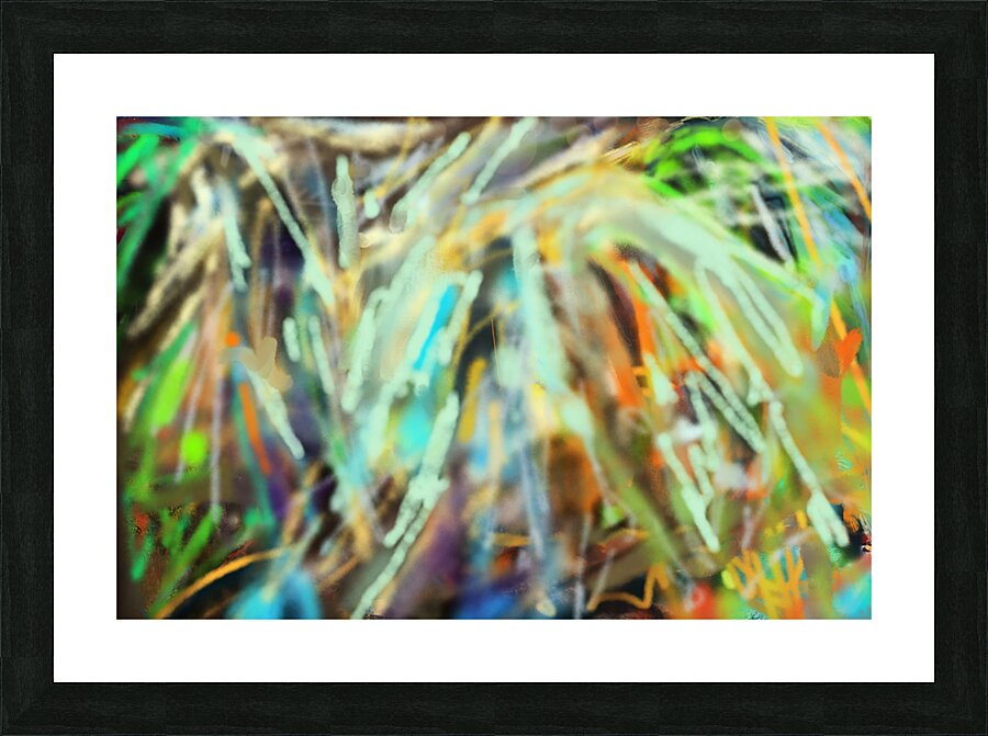 RAINFOREST  2 Picture Frame print
