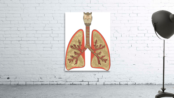 lungs trache Wall Preview