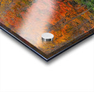 Sims Pond Acrylic print