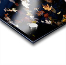 Floating Fall Acrylic print