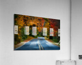 Mystic Fall Acrylic Print