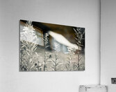 The Barn 2 Acrylic Print