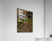Rough Ridge 1 Acrylic Print