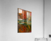 Sims Pond Acrylic Print