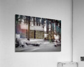 the tatum cabin Acrylic Print