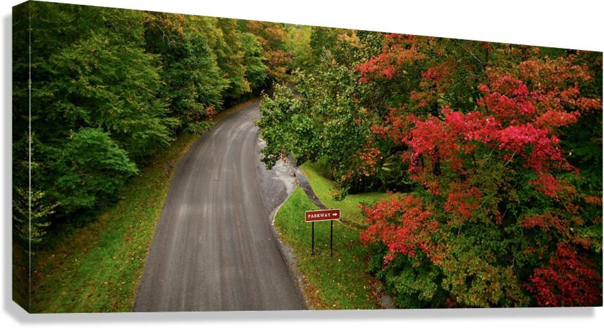 One for the Road Canvas Print
