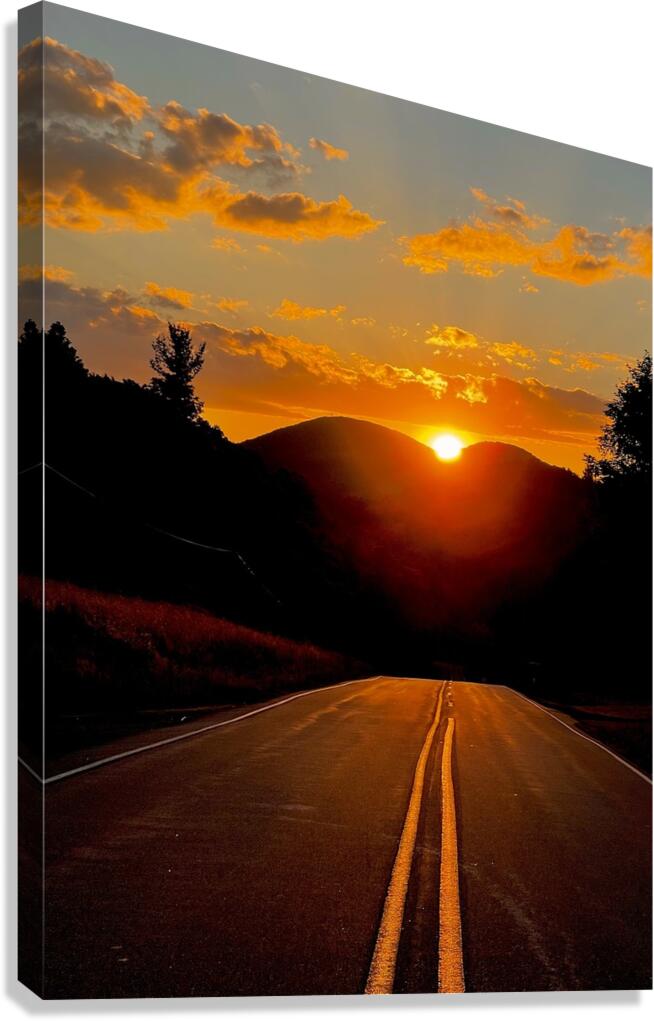 The Orange Road Canvas Print