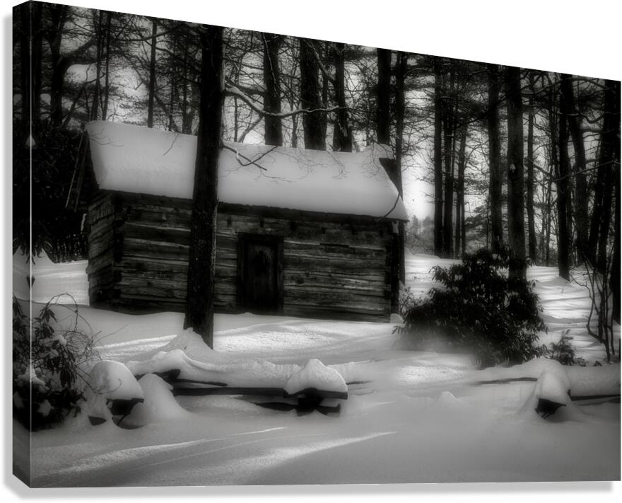 the tatum cabin Canvas Print