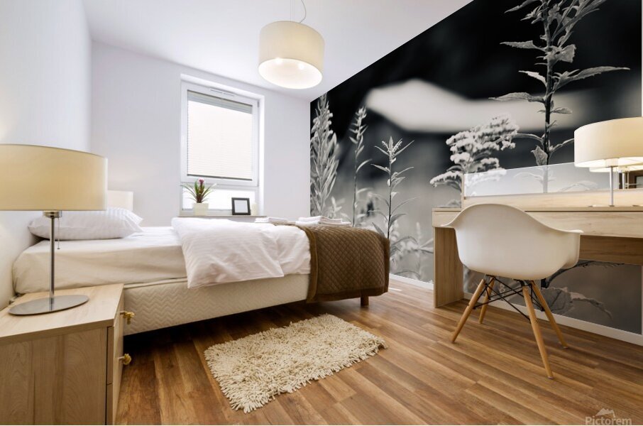 The Barn 2 Mural print