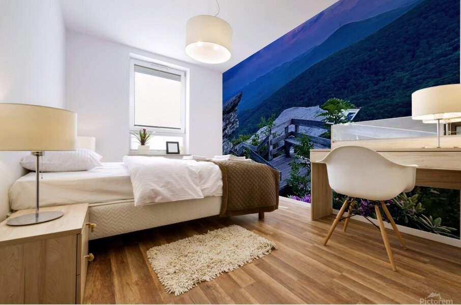 Rough Ridge 2 Mural print