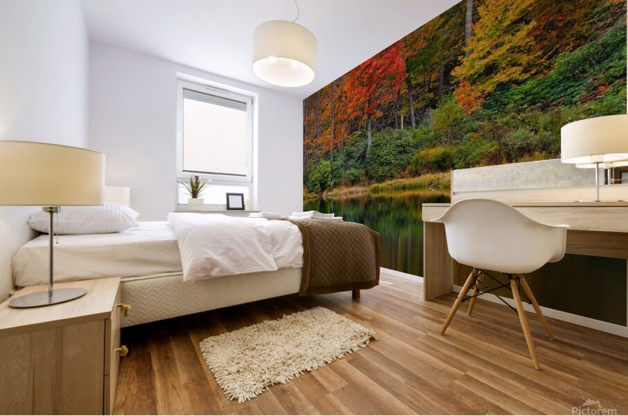 Sims Pond Mural print