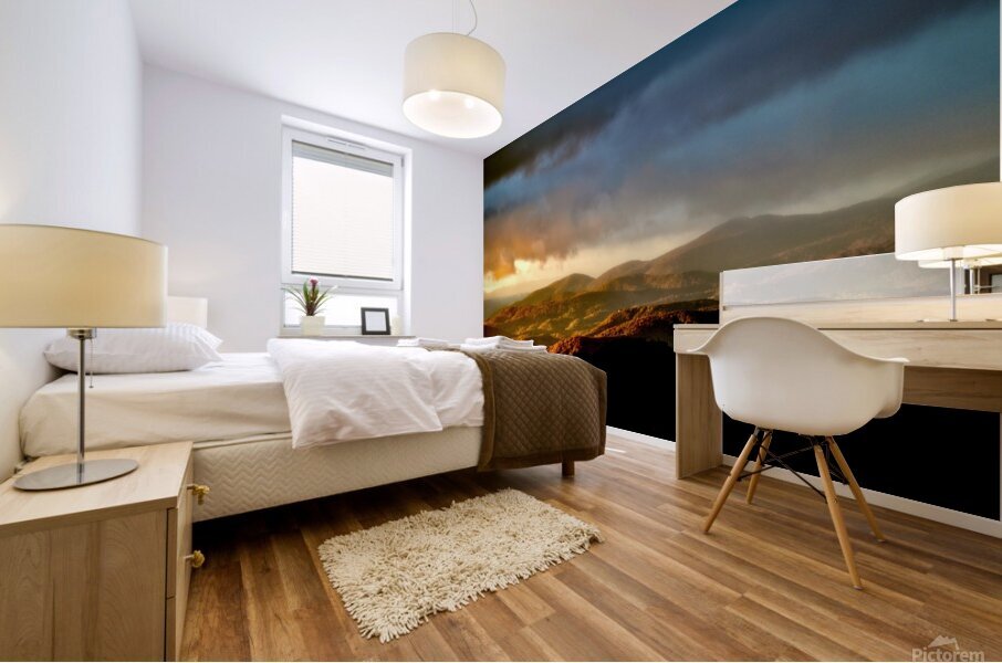 A Cold Sunrise Mural print