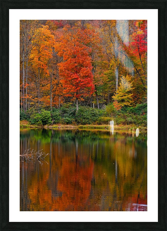 Sims Pond Picture Frame print