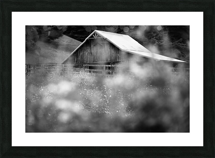 The Barn Picture Frame print