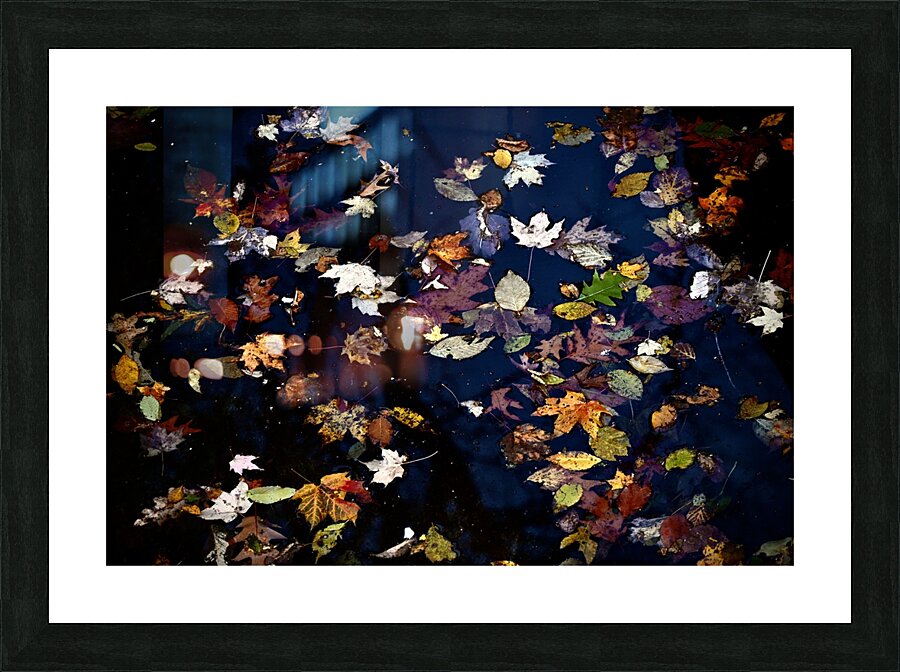 Floating Fall Picture Frame print