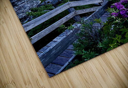 Rough Ridge 2 JustAPhotographer puzzle