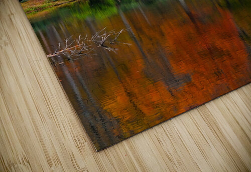 Sims Pond JustAPhotographer puzzle