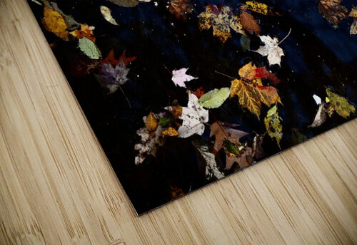 Floating Fall JustAPhotographer puzzle