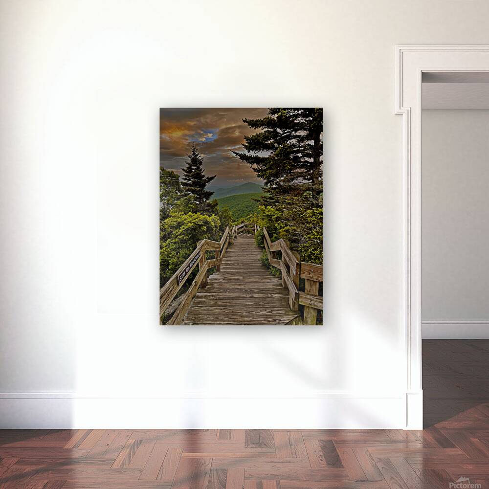 Rough Ridge 1 Reproduction