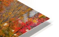 Sims Pond HD Metal print