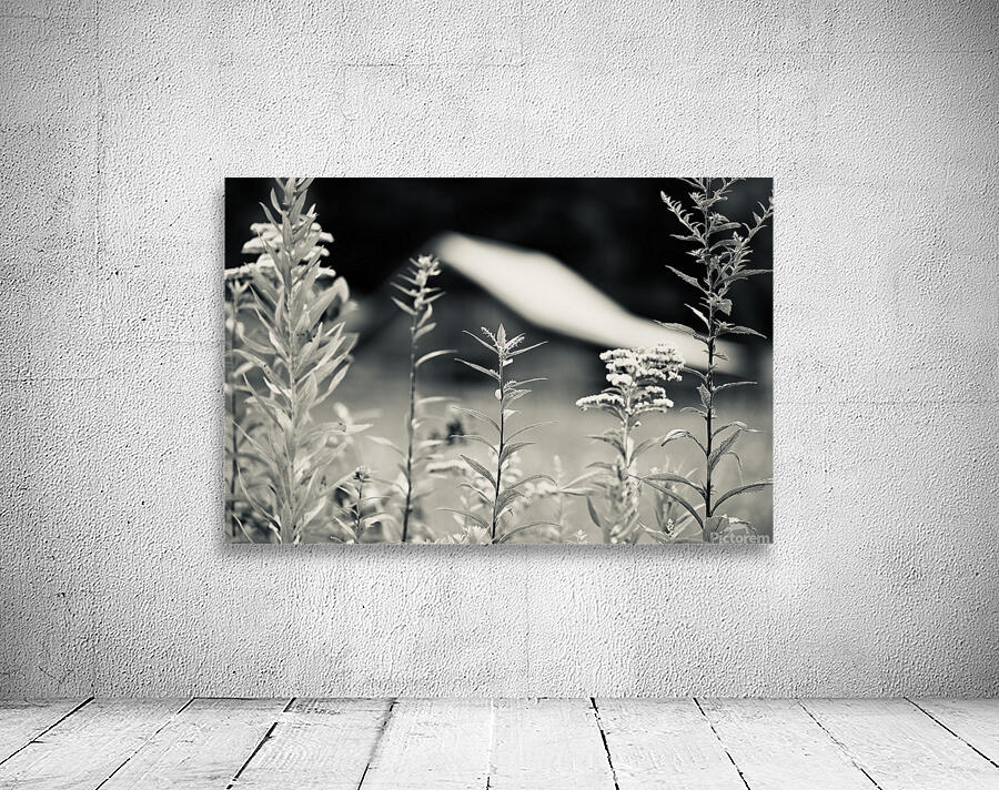The Barn 2 Wall Preview