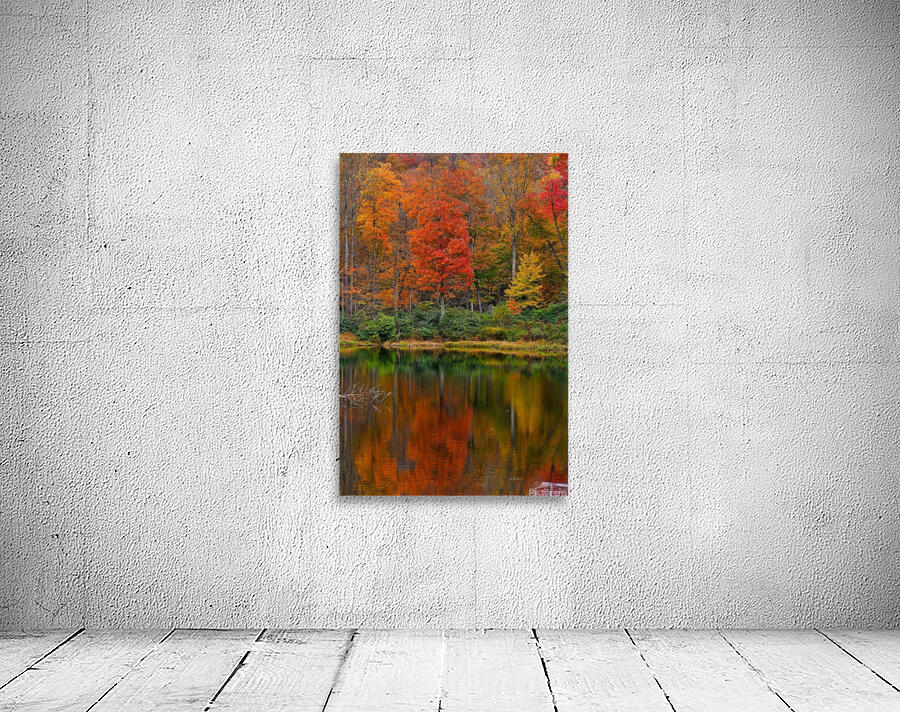 Sims Pond Wall Preview