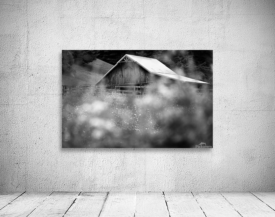 The Barn Wall Preview