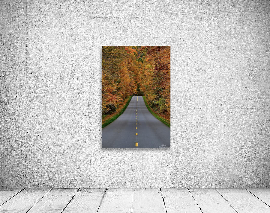 A Look Down The Road Wall Preview