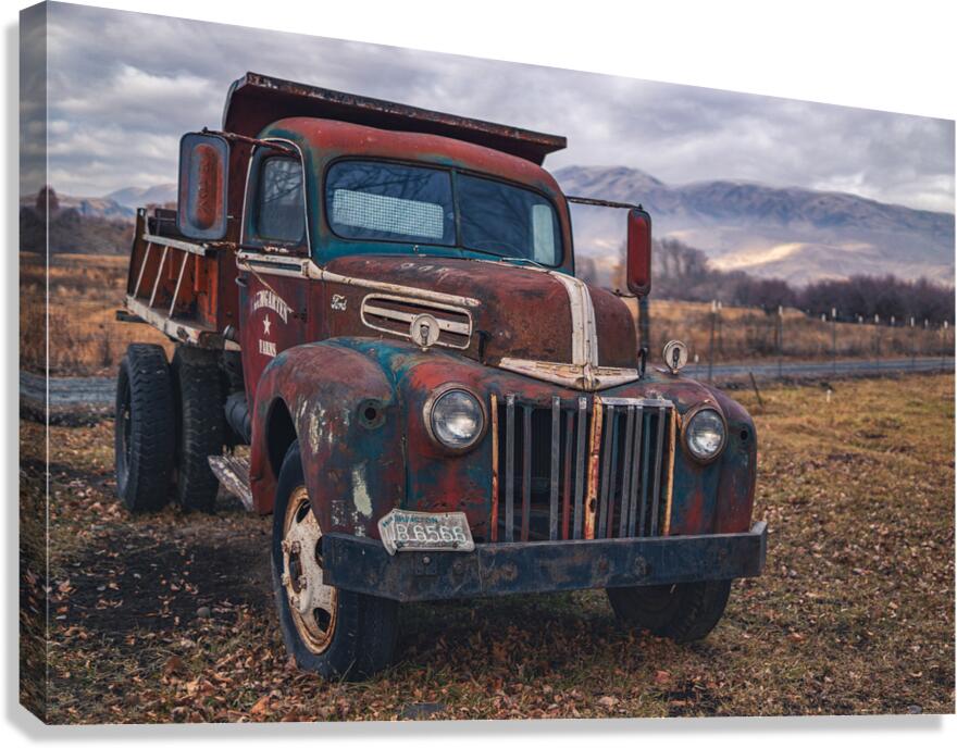 Ford in a Field Canvas Print