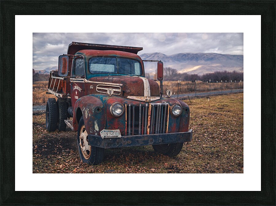Ford in a Field Picture Frame print