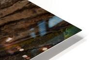 Watchful Eye HD Metal print