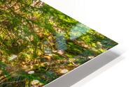 Middle Cora Falls HD Metal print