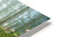 Foggy Forest HD Metal print