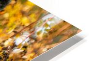 Silly Doe HD Metal print
