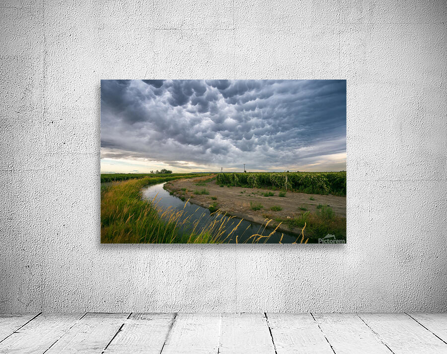 Mammatus Clouds over Pasco Wall Preview