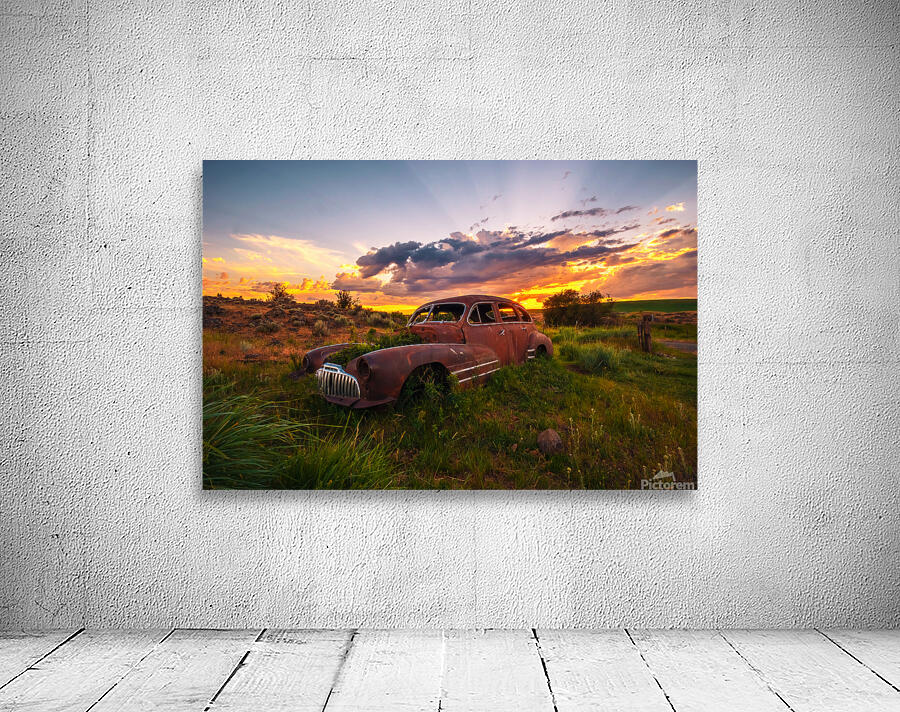 Buick in a Field Wall Preview