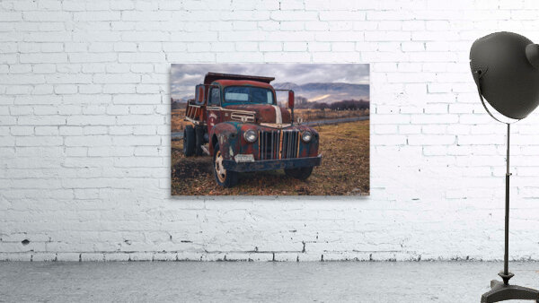 Ford in a Field Wall Preview