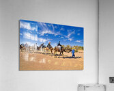Camel caravan Sahara desert - Morocco Africa Acrylic Print