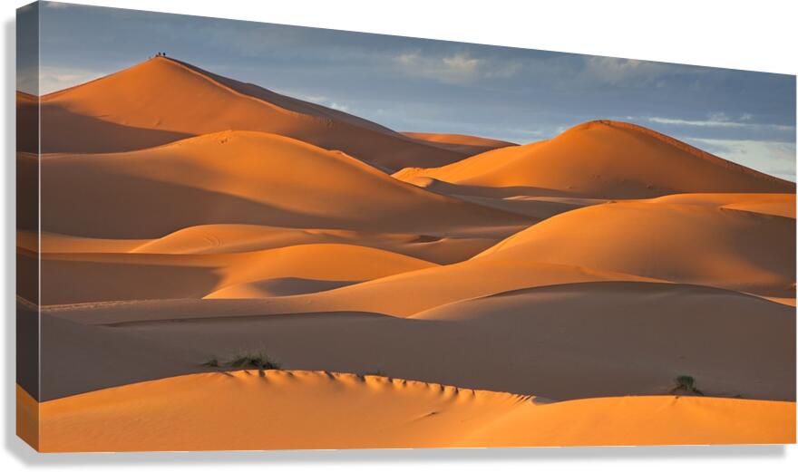 Sunset in the Sahara Desert Landscape Panorama - Morocco Africa by