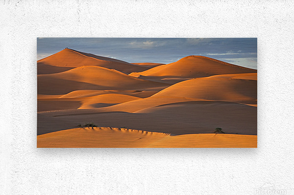 Sunset in the Sahara Desert Landscape Panorama - Morocco Africa by