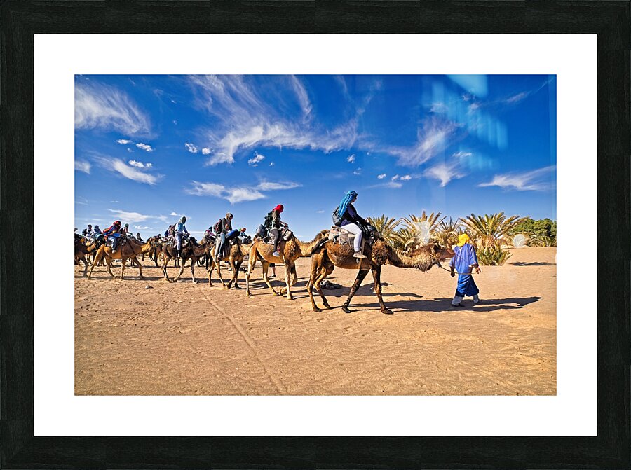 Camel caravan Sahara desert - Morocco Africa Picture Frame print