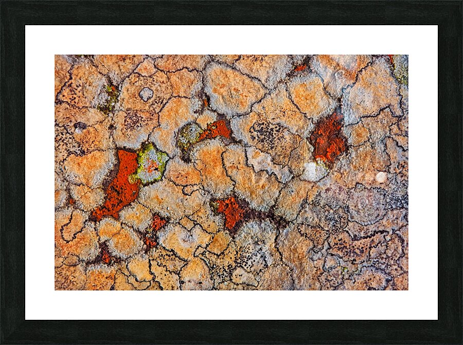 World map I Picture Frame print