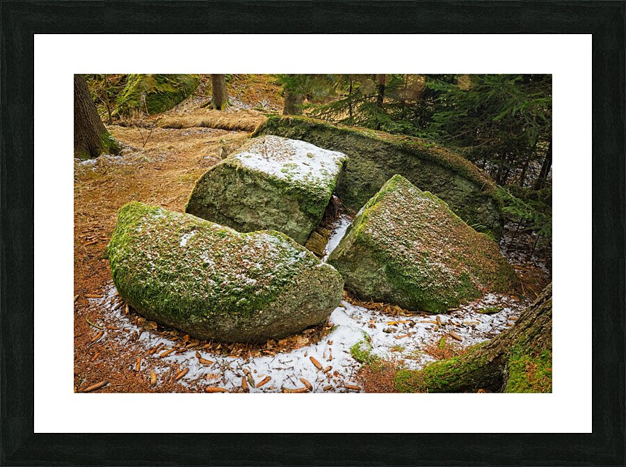 Four pieces Picture Frame print