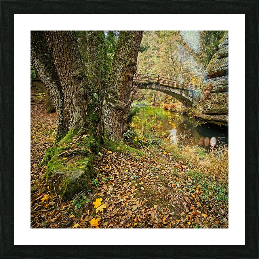Bridge over the river Picture Frame print