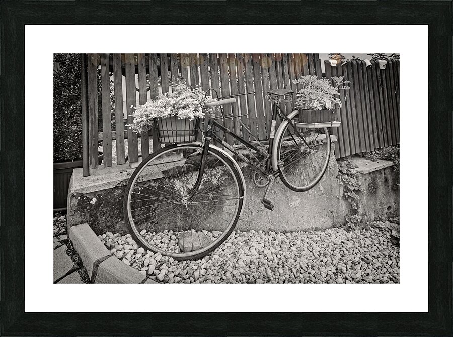 Bicycle Picture Frame print