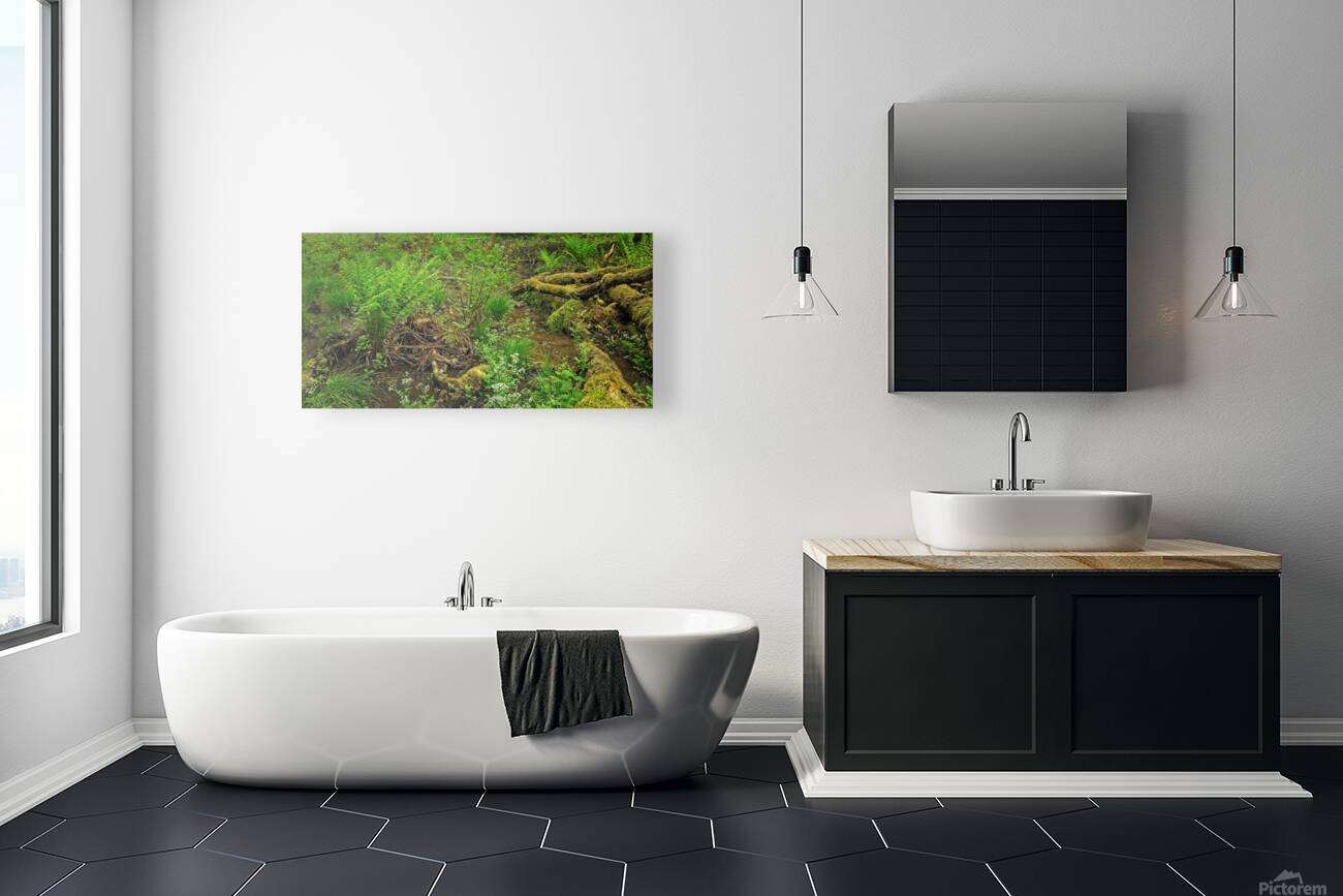 Forest understory Reproduction